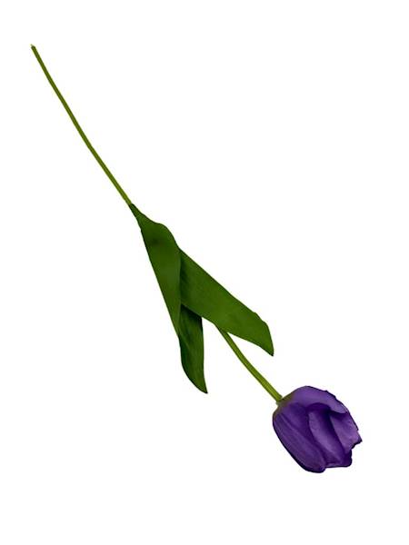 TULIPAN GAŁĄZKA 55 CM FIOLET