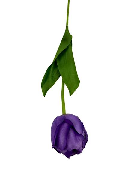 TULIPAN GAŁĄZKA 55 CM FIOLET