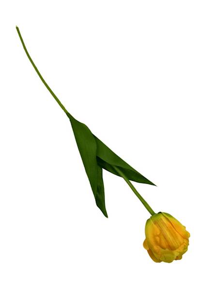 TULIPAN GAŁĄZKA 55 CM ŻÓŁTY