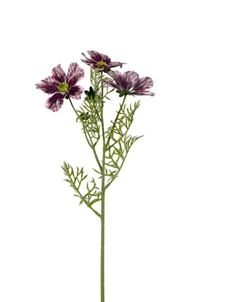 KOSMOS GAŁĄZKA 64 CM PURPURA Z ZIELONYM 