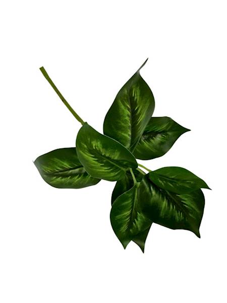 LIŚCIE KALATEA 28 CM CIEMNO ZIELONE