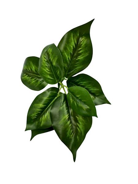 LIŚCIE KALATEA 28 CM CIEMNO ZIELONE