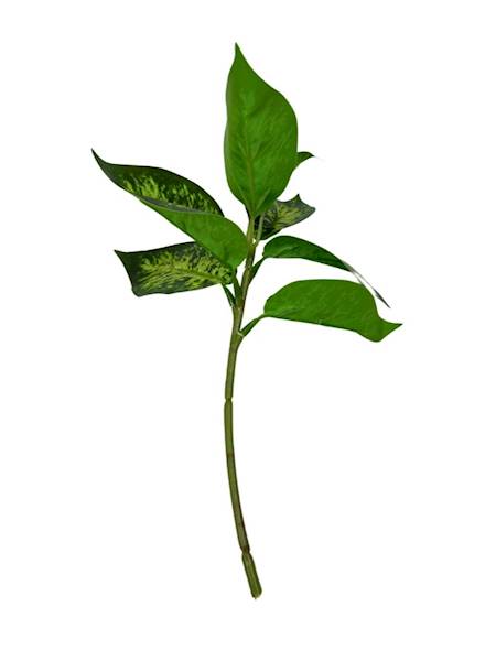 LIŚCIE DIFENBACHIA 28 CM JASNO ZIELONE