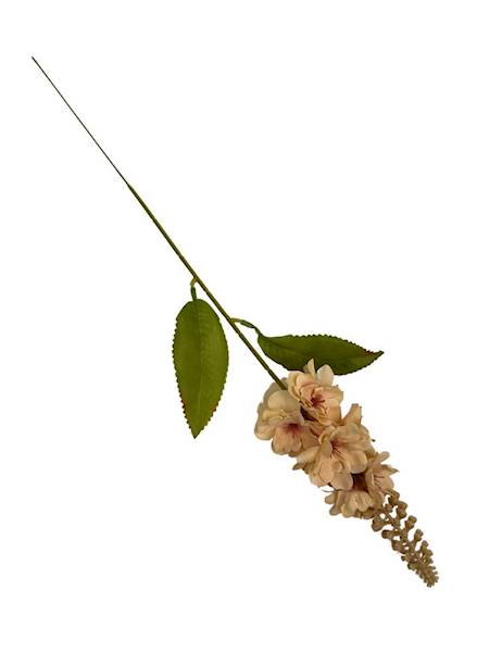 OSTRÓZKA GAŁĄZKA 52 CM CIEMNY KREMOWY