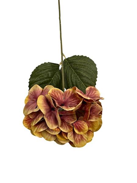 HORTENSJA GAŁĄZKA 60 CM MUSZTARDOWA