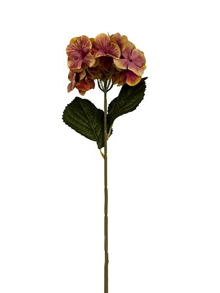 HORTENSJA GAŁĄZKA 60 CM MUSZTARDOWA