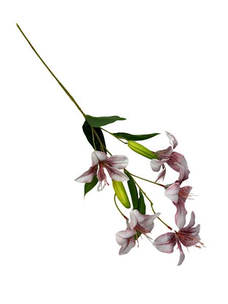 Liliowiec gałązka 74 cm  brudny róż z białym