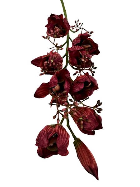 Orchidea storczyk gałązka 78 cm bordo
