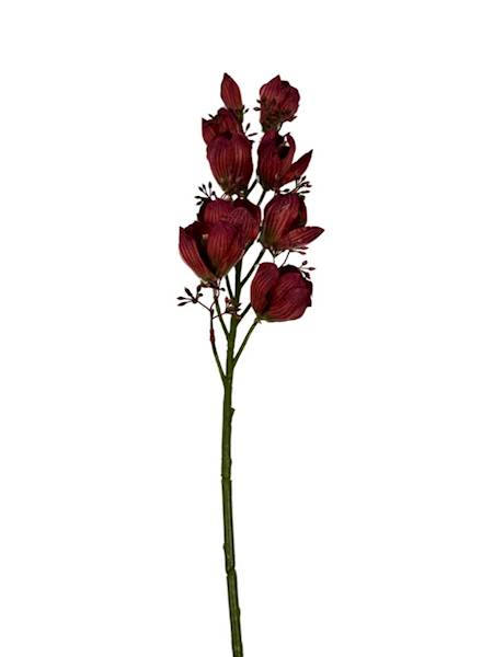 Orchidea storczyk gałązka 78 cm bordo