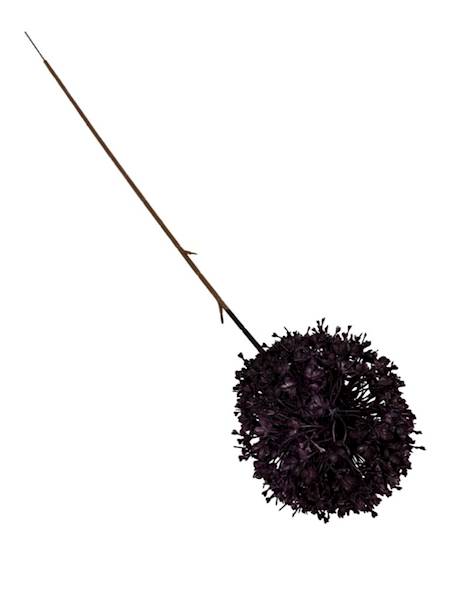 Czosnek gałązka 64 cm ciemny fiolet