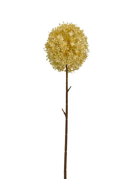 Czosnek gałązka 64 cm żółty