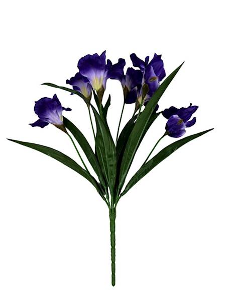 BUKIET IRYSY 45 CM CIEMNY FIOLET