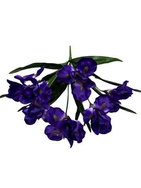 BUKIET IRYSY 45 CM CIEMNY FIOLET