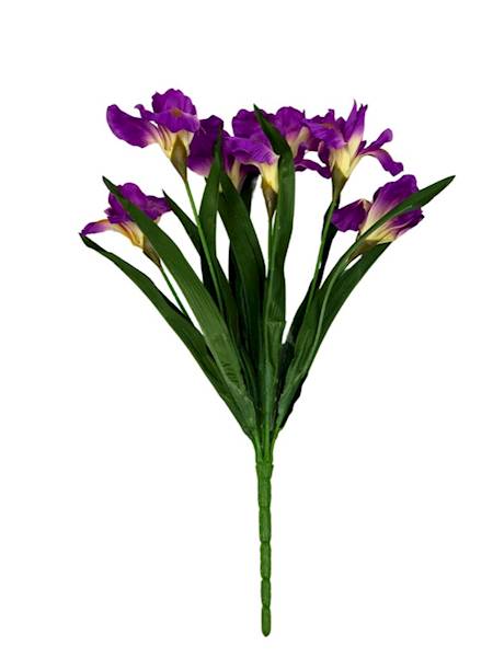 BUKIET IRYSY 45 CM CIEMNY RÓŻ