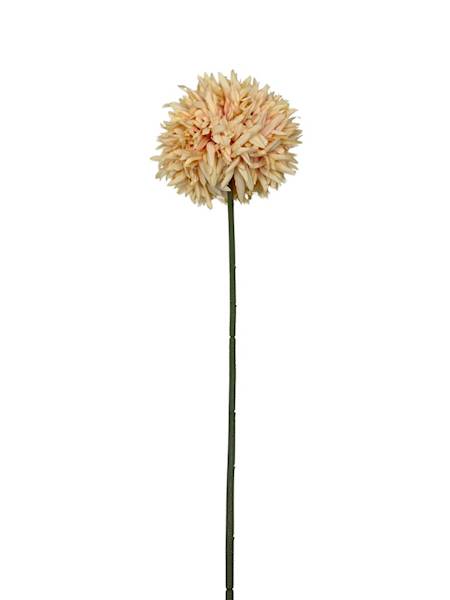 Czosnek chryzantema gałązka 45cm jasna brzoskwinia