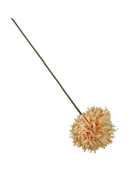 Czosnek chryzantema gałązka 45cm jasna brzoskwinia