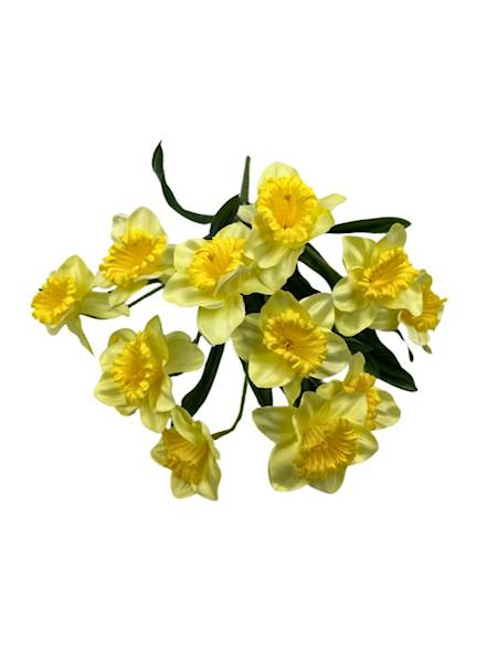 Bukiet żonkil 45 cm jasny żółty