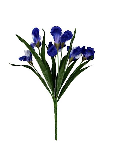 BUKIET IRYSY 45 CM CIEMNY I JASNY NIEBIESKI