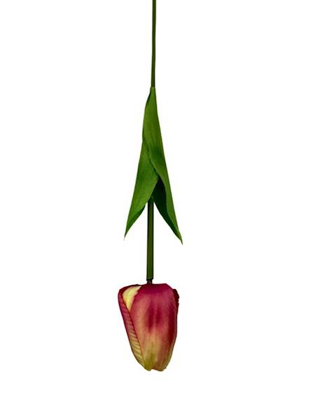 TULIPAN GAŁĄZKA 49 CM RÓŻOWO ŻÓŁTY
