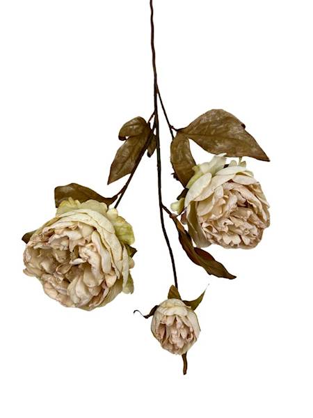 Piwonia jesienna gałązka 68 cm kremowa
