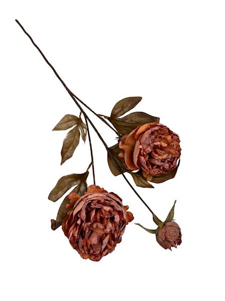 Piwonia jesienna gałązka 68 cm pomarańczowa