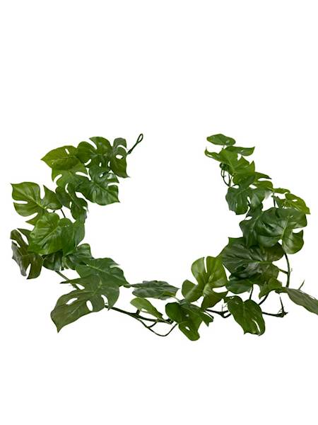 Monstera girlanda 155 cm zielona