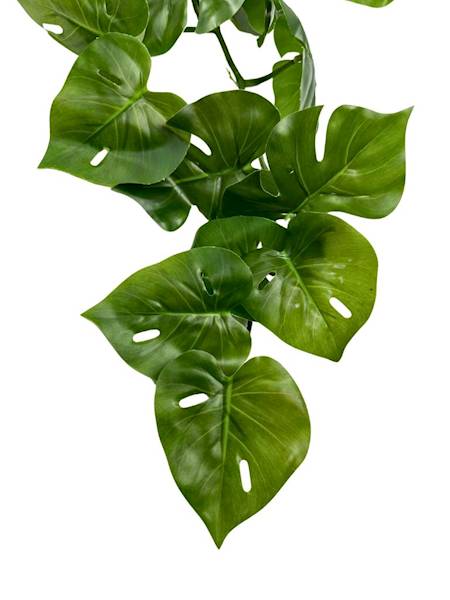 Monstera girlanda 155 cm zielona
