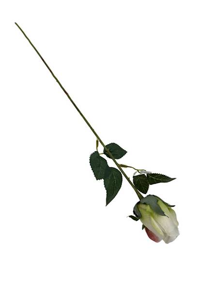 RÓŻA GAŁĄZKA 54 CM JASNY KREM Z ZIELONYM