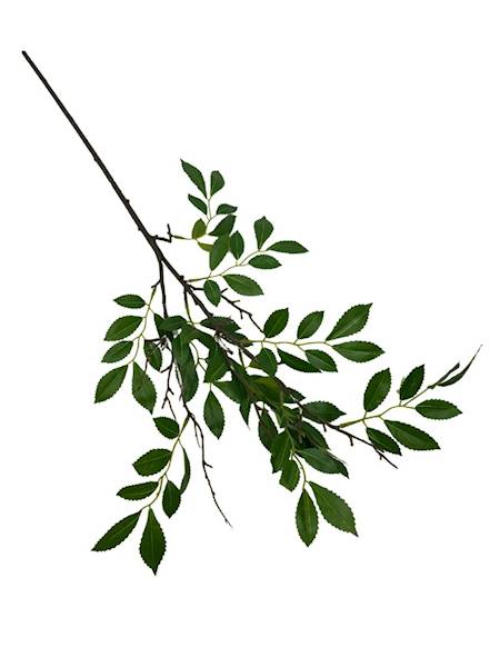 Gałązka wiązu liście drzew 83 cm zielona