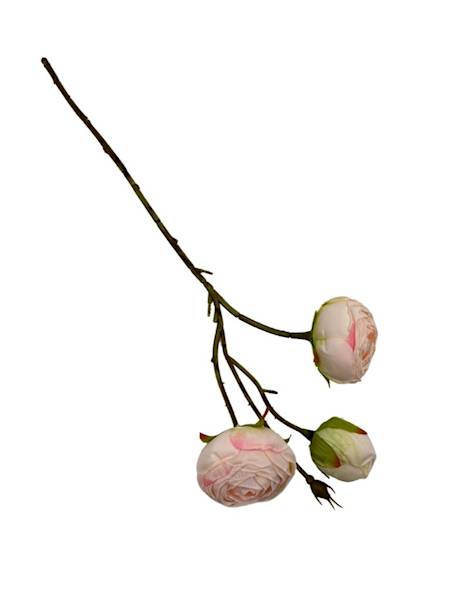 RÓŻA GAŁĄZKA 42 CM DELIKATNA BRZOSKWINIA