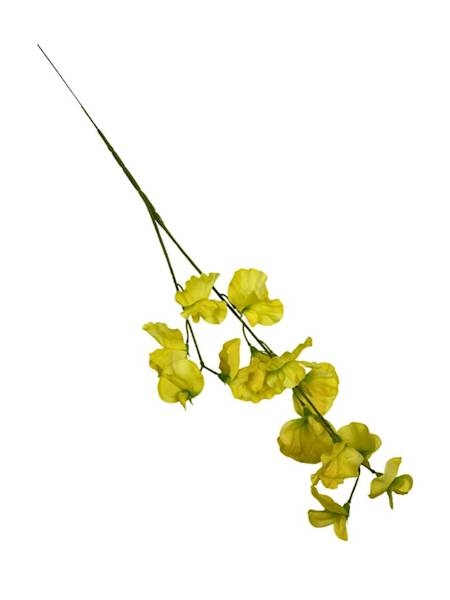 GROSZEK PACHNĄCY GAŁĄZKA 58 CM ŻÓŁTY