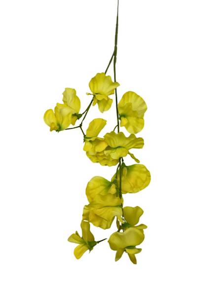 GROSZEK PACHNĄCY GAŁĄZKA 58 CM ŻÓŁTY