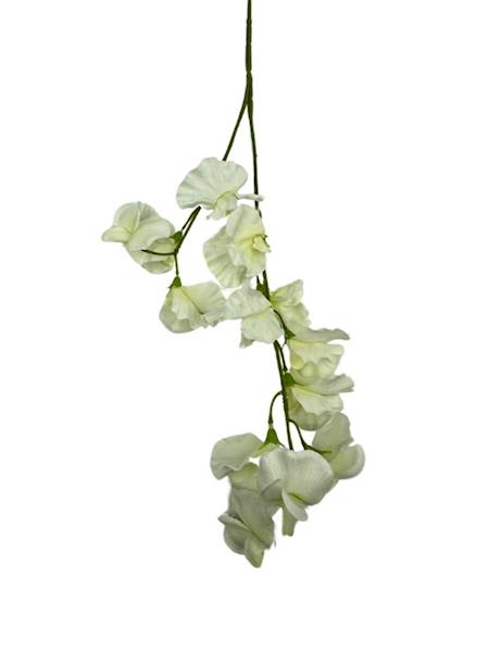 GROSZEK PACHNĄCY GAŁĄZKA 58 CM BIAŁY