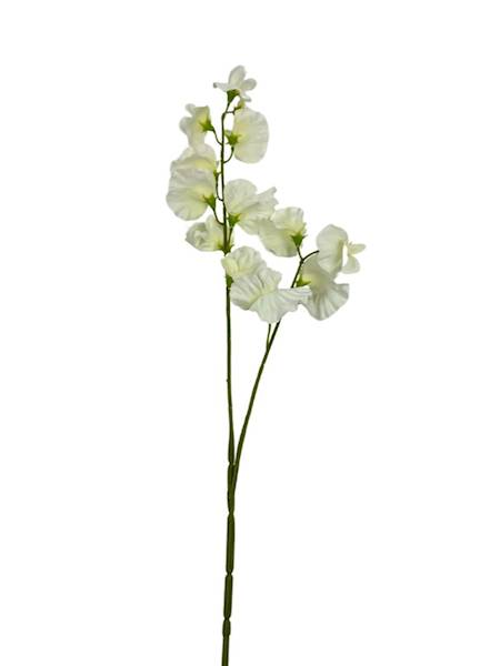 GROSZEK PACHNĄCY GAŁĄZKA 58 CM BIAŁY