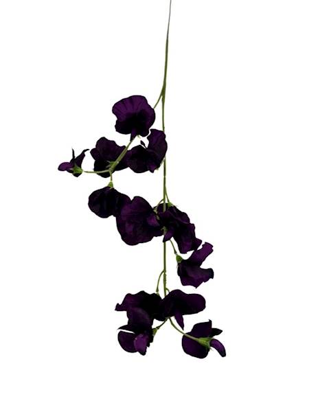 GROSZEK PACHNĄCY GAŁĄZKA 58 CM PURPUROWY