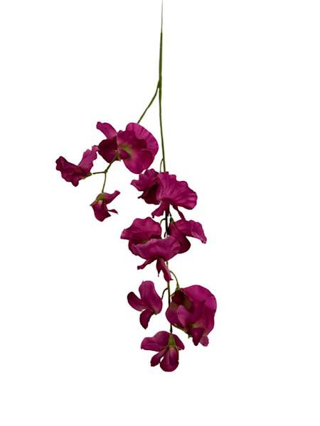 GROSZEK PACHNĄCY GAŁĄZKA 58 CM FUKSJA