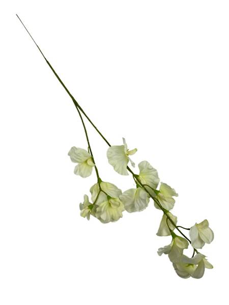 GROSZEK PACHNĄCY GAŁĄZKA 58 CM BIAŁO ZIELONY