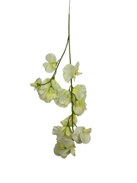 GROSZEK PACHNĄCY GAŁĄZKA 58 CM BIAŁO ZIELONY