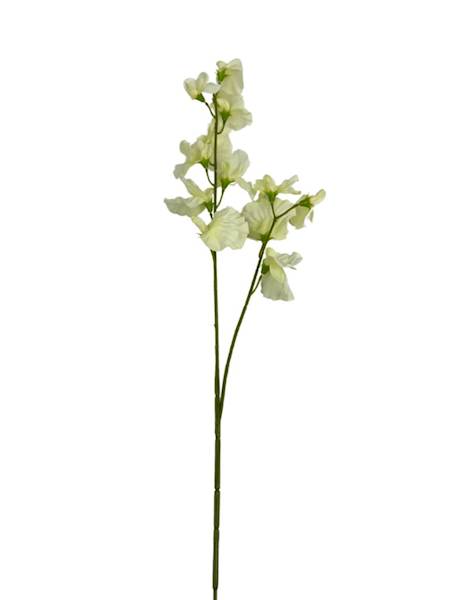 GROSZEK PACHNĄCY GAŁĄZKA 58 CM BIAŁO ZIELONY