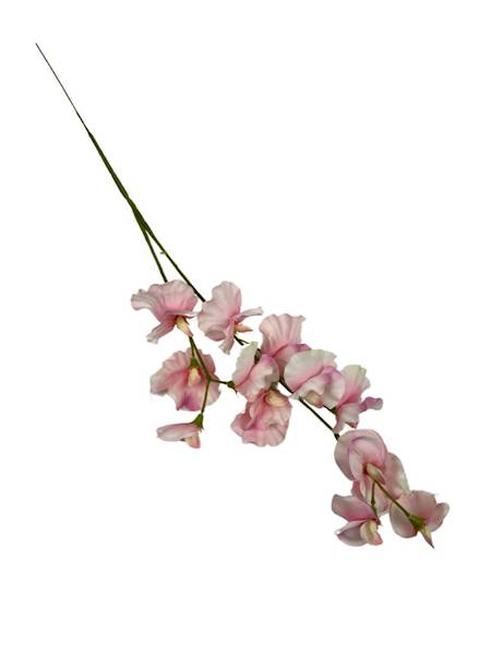 GROSZEK PACHNĄCY GAŁĄZKA 58 CM RÓŻ KREM