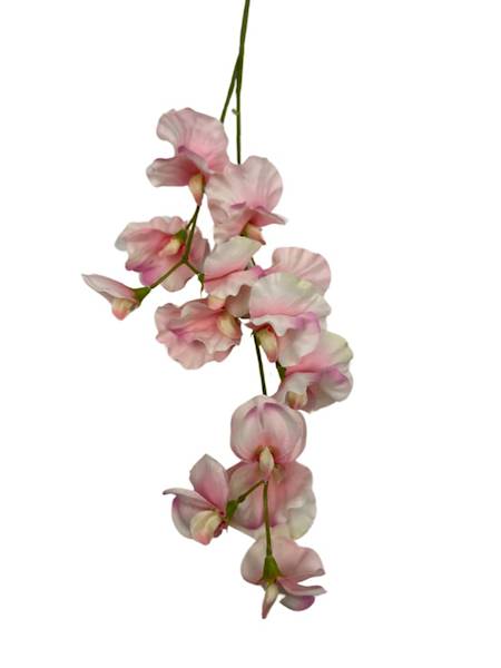 GROSZEK PACHNĄCY GAŁĄZKA 58 CM RÓŻ KREM