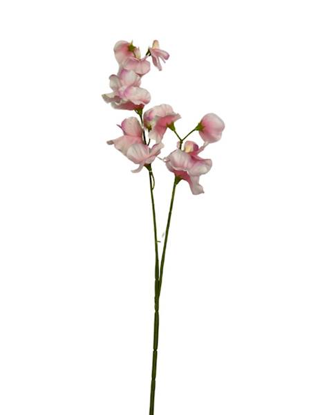 GROSZEK PACHNĄCY GAŁĄZKA 58 CM RÓŻ KREM