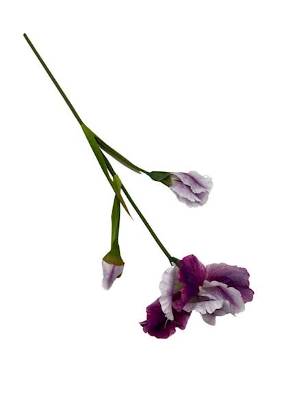 IRYS GAŁĄZKA 77 CM BIAŁY RÓŻ FIOLET