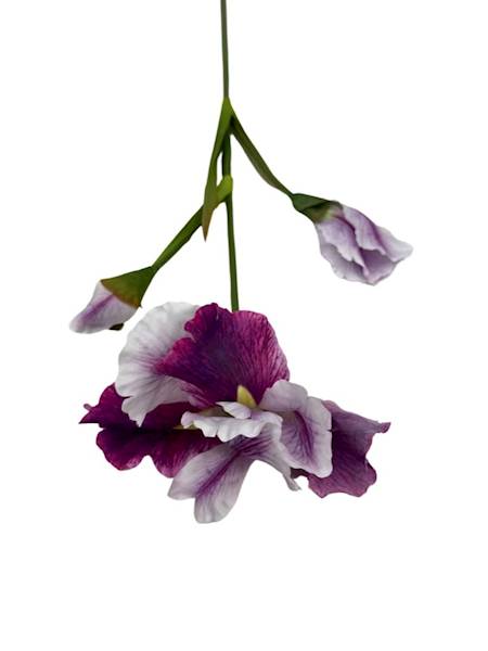 IRYS GAŁĄZKA 77 CM BIAŁY RÓŻ FIOLET