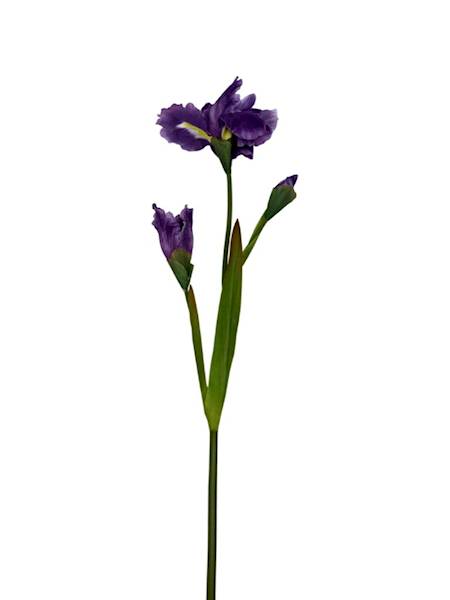 IRYS GAŁĄZKA 77 CM FIOLET