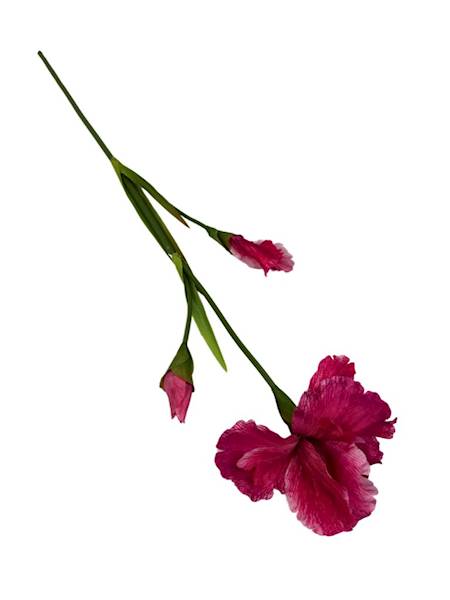 IRYS GAŁĄZKA 77 CM RÓŻOWY