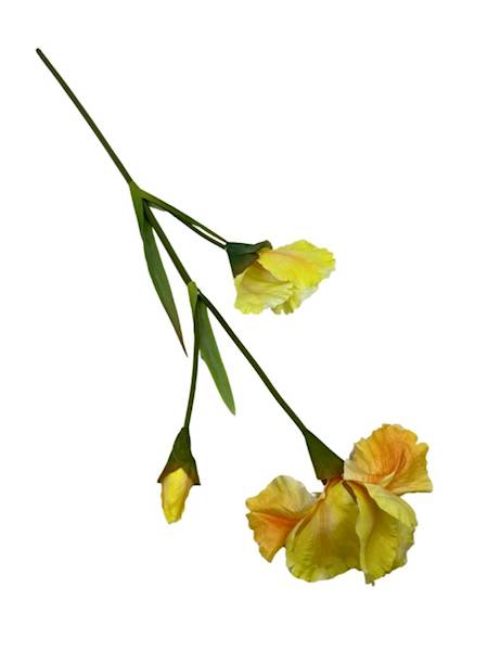 IRYS GAŁĄZKA 77 CM ŻÓŁTY