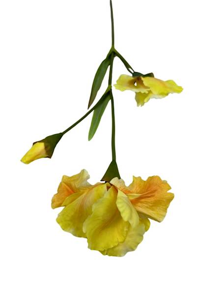 IRYS GAŁĄZKA 77 CM ŻÓŁTY