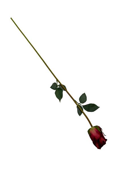 Róża gałązka 52 cm czerwony