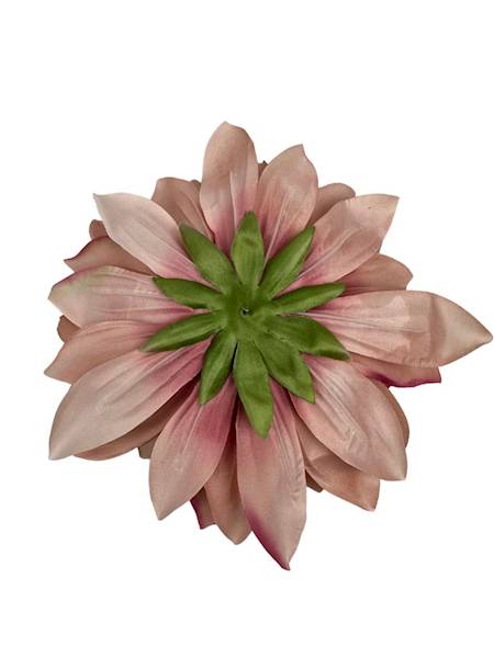 Dalia główka XXL 28 cm pudrowy róż